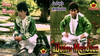 DANNY MENDOZAEL ARBOLITOEXITOS DE ORO [upl. by Naesyar]