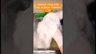 ORANGE AND BLEACH POWDER SPONGE SQUEEZES 🤤🧽🍊🌲🫧 spongeasmr oddlysatisfying laundrypaste [upl. by Lienad830]