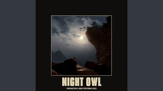 Night Owl [upl. by Assetal]