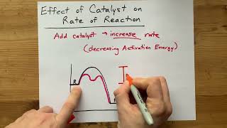 Effect of Catalyst on Rate of Reaction Explained with Potential Energy Diagram [upl. by Janeczka]