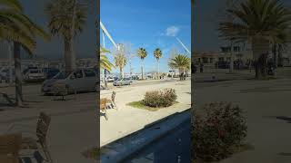 Alghero Sardegna italy italia sardegna travel palm beach foreversummer shorts trending yt [upl. by Eula3]