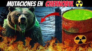 Los misterios sin resolver de Chernóbyl historiamisteriochernobyl [upl. by Kee416]