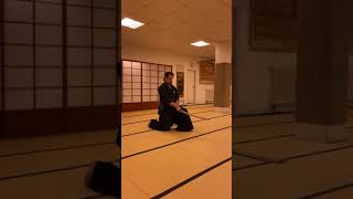 Mugai Ryu Iaido Kata Ren of the Goyo set  無外流居合 五用 連 [upl. by Elleraj]