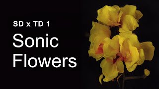 Sonic Flowers – TouchDesigner x StableDiffusion Tutorial 1 [upl. by Ellenor]