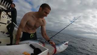 Mako Shark for lunch [upl. by Madden]