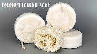 Make Your Own Coconut Loofah Soap with Easy Melt and Pour Soap Recipe [upl. by Bogart]