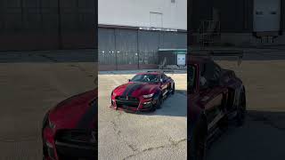 Wildest mustang out there fordmustang mustang automobile fordshelby shortvideo edit shorts [upl. by Domph]