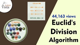 Euclids Division Algorithm theorem  Definition amp Solved Examples [upl. by Bloomer331]