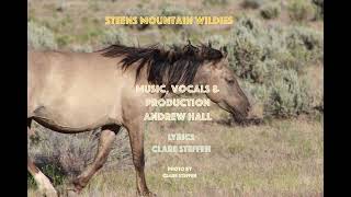 Steens Mountain Wildies feat Andrew Hall Celtic Version [upl. by Judenberg]