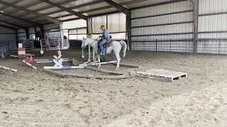 Jasmine trail horse sale video [upl. by Nemzzaj755]