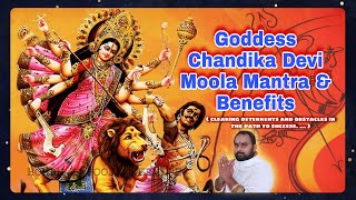 Chandika Devi Moola Mantra amp Benefits  Goddess Chandi  Homam amp Pooja Service [upl. by Nayab]