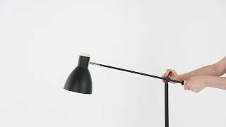 Lexi Lighting Scandinavian Adjustable Floor Lamp [upl. by Fairlie984]