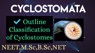 2Outline classification of cyclostomesGeneral organization Specialized Generalized  degenerate [upl. by Nailliw]