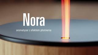 Aromatyzer Stadler Form Nora [upl. by Glialentn]