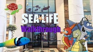 Sea Life Manchester Complete Walkthrough Tour 2024 4K [upl. by Nnylsoj276]