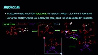 Veresterung Triglyceride [upl. by Akselav]