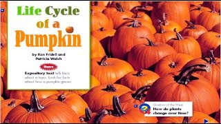 Life Cycle of a Pumpkin Nonfiction Read Aloud [upl. by Normac381]