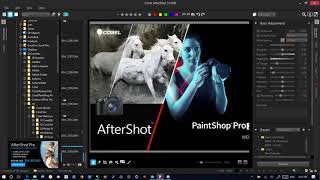 Corel AfterShot 3 HDR and Corel PaintShop Pro 2019 Ultimate [upl. by Noyes]