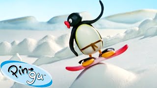 Robby Surfing the Snow 🐧  Pingu  Official Channel  Cartoons For Kids [upl. by Fedora]