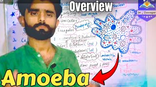 Amoeba  Biology  Class  9th  Ch  01 Urdu  Hindhi [upl. by Zia]