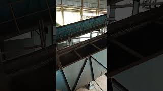 Conveyor pengolahan buah sawit pabrikkelapasawit kalimantan [upl. by Akcirederf]