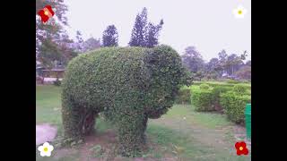 Balurghat Beltala Park [upl. by Walley]