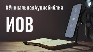 Книга Иова Читаем Библию вместе УНИКАЛЬНАЯ АУДИОБИБЛИЯ [upl. by Nahc]