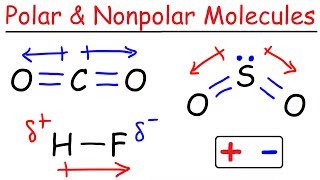 Polar and Nonpolar Molecules [upl. by Herrod236]