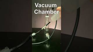 Best DIY Vacuum Chamber for Marshmallows Maybe [upl. by Adnertal489]