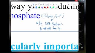 Pentose phosphate pathway I II1 by doctor Heba [upl. by Spear237]