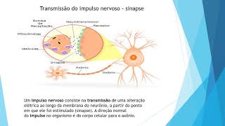 Como as sensações guiam o funcionamento do corpo humano [upl. by Nodyroc]