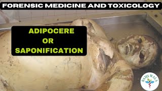 ADIPOCERE  SAPONIFICATION  FORENSIC MEDICINE AND TOXICOLOGY  MBBS  BAMS WALA [upl. by Kape]