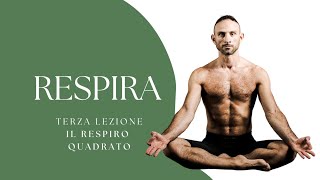 RESPIRATerza lezione il respiro quadrato pranayama breathing respiro bjjlife yogaforbjj [upl. by Lertnek]