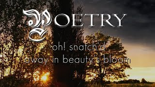 POETRY  Oh Snatchd Away In Beautys Bloom Poem by Lord Byron Official Video [upl. by Nywroc]