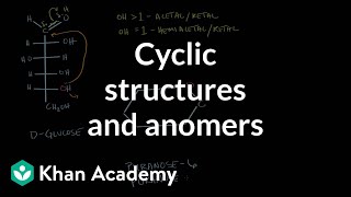 Carbohydrates  Cyclic structures and anomers  Chemical processes  MCAT  Khan Academy [upl. by Adivad744]