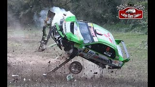 BEST OF RALLY 2019  BIG CRASHES amp MISTAKES [upl. by Eikcim]