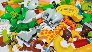 Satisfying Building Blocks Marble Run ASMR Tree House and Wild Animals 9 [upl. by Nnylireg554]