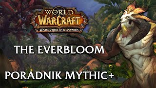 PORADNIK The Everbloom Mythic  World of Warcraft Dragonflight [upl. by Annoeik]