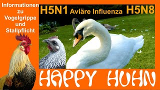 E206 Vogelgrippe und Stallpflicht  Informationen und Tipps bei HAPPY HUHN  Maschenweite Schutznetz [upl. by Tamqrah598]