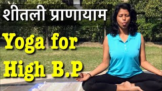 Yoga for High BP Hypertension anger insomnia  Sheetali Pranayama शीतली प्राणायाम in Hindi [upl. by Aizatsana]