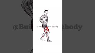 Home Leg Workout fitness motivation workout [upl. by Ash]