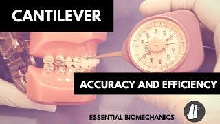 Cantilever  Essential Biomechanics [upl. by Celie780]