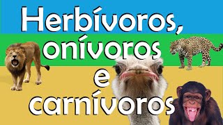 Animais herbívoros onívoros e carnívoros [upl. by Aerb830]