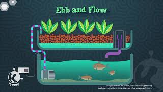 AQUAPONICS Animated Introduction part1 [upl. by Llerrej550]