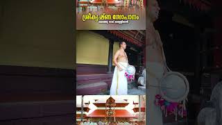 Sopana Sangeetham  Sree Krishna Devotional loardkrishna guruvayoor shortsfeed [upl. by Arretal]