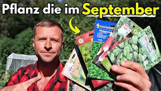 Aussaat im September 💚10 GEMÜSE die Du JETZT säen kannst für Herbst amp Winter [upl. by Ydaf]