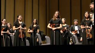 Anderson  Fiddle Faddle TMEA  Plano West Chamber Orchestra [upl. by Arsuy]