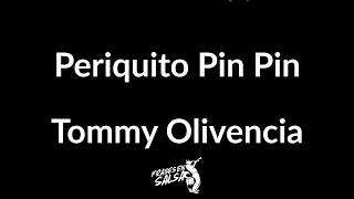 Periquito pin pin letra  Tommy Olivencia  Hector Tricoche Frases en Salsa [upl. by Dianemarie371]