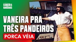 VANEIRA PRA TRÊS PANDEIROS  PORCA VÉIA AO VIVO  CLIP DVD” [upl. by Heck]