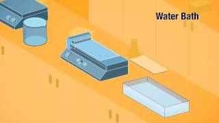 Polymer  CNT Membranes for Desalination amp Water Filtration Scientific Animation [upl. by Agem201]